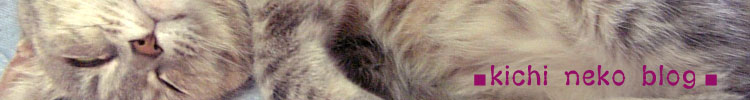 ¡kichi neko blog¡